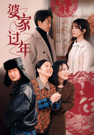 婆家过年(71集) 婆家过年(71集)第一季