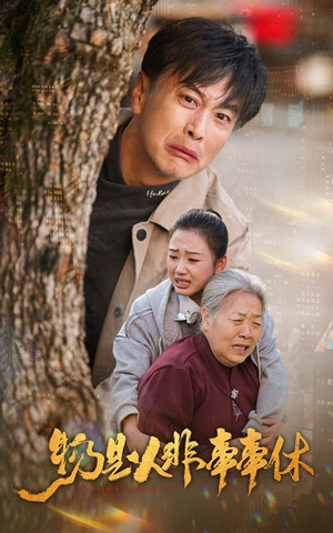 物是人非事事休(41集) 物是人非事事休(41集)大结局