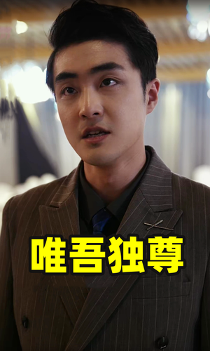 唯吾独尊(96集) 唯吾独尊(96集)在线看