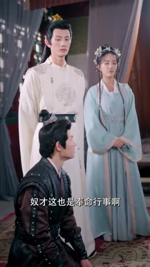 太子妃她不成体统(74集) 太子妃她不成体统(74集)古装短剧热播