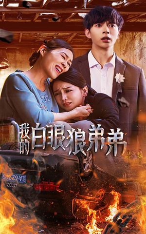 我的白眼狼弟弟(69集) 我的白眼狼弟弟(69集)免费看