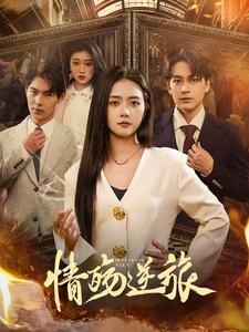 情殇逆旅(90集) 情殇逆旅(90集)免费短剧合集