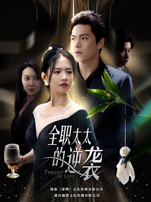 全职太太的逆袭(80集) 全职太太的逆袭(80集)完整版