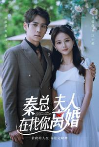 秦总,夫人在找你离婚(79集) 秦总,夫人在找你离婚(79集)短剧热门合集