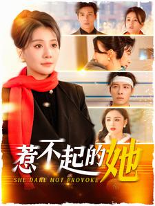 惹不起的她(106集) 惹不起的她(106集)短剧全集更精彩