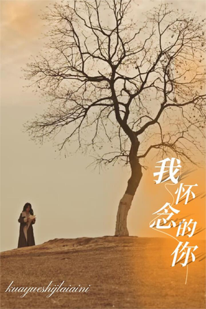 我怀念的你(38集) 我怀念的你(38集)免费短剧全集看
