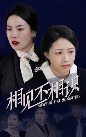 相见不相识(34集) 相见不相识(34集)免费短剧全集看
