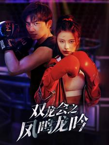 双龙会之凤鸣龙吟(80集) 双龙会之凤鸣龙吟(80集)爆款热门短剧
