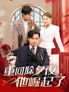 重回除夕夜他崛起了(89集) 重回除夕夜他崛起了(89集)民国短剧推荐