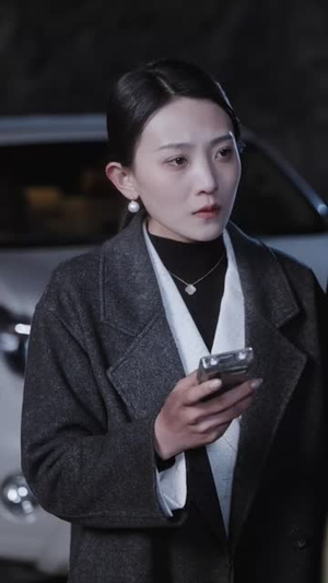 衣锦还乡之孝女拜寿(62集) 衣锦还乡之孝女拜寿(62集)大结局完美收官