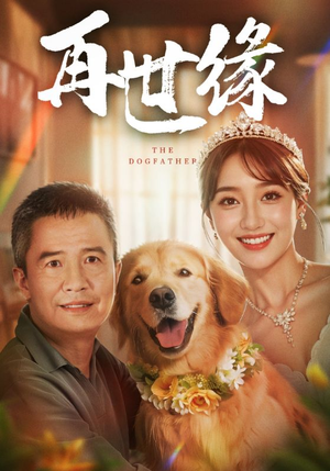 再世缘(41集) 再世缘(41集)短剧热门合集