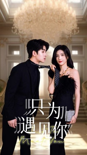 只为遇见你(88集) 只为遇见你(88集)免费看全集