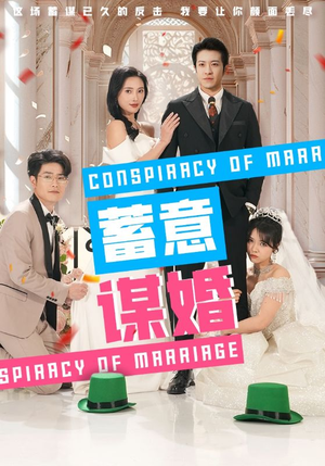 蓄意谋婚(30集) 蓄意谋婚(30集)免费短剧推荐