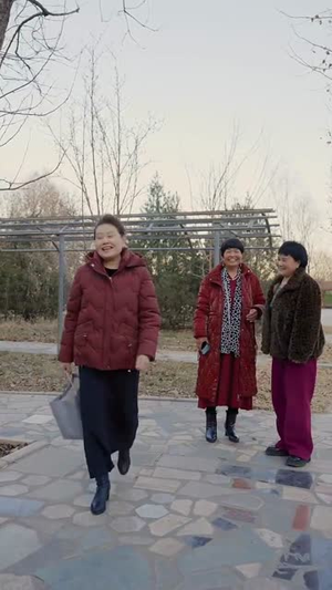 语言大师这个家没我得散(53集) 语言大师这个家没我得散(53集)好看的短剧电影