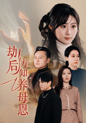 劫后方知养母恩(45集)  劫后方知养母恩(45集) 免费短剧资源