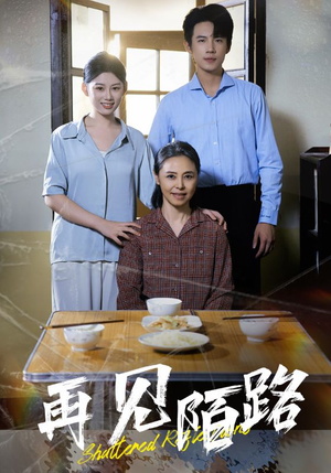 再见陌路(39集)  再见陌路(39集) 好看吗