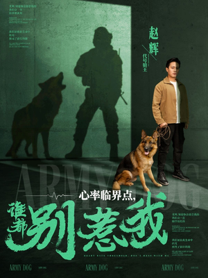 心率临界点谁都别惹我(96集)  心率临界点谁都别惹我(96集) 今日最火短剧