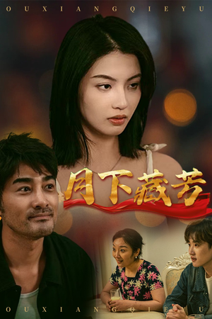 月下藏芳（62集）短剧精彩不断