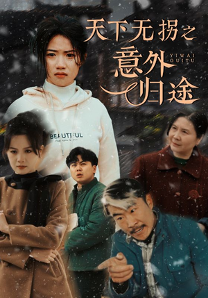 天下无拐之意外归途(61集)  天下无拐之意外归途(61集) 看到了大结局