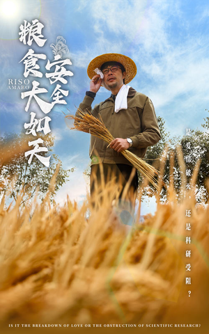 粮食安全大如天(43集)  粮食安全大如天(43集) 免费版