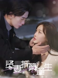 贤妻折翼逢生&雨落灯残梦（85集）  哪个网站可以看