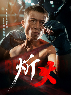 炘火(62集)  炘火(62集) 免费在线看全集