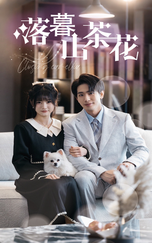 落幕山茶花(50集)  落幕山茶花(50集) 超甜短剧分享