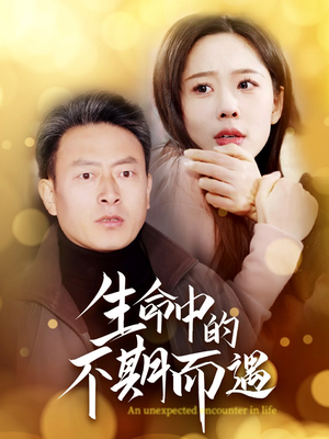 生命中的不期而遇(35集) 生命中的不期而遇(35集) 免费版