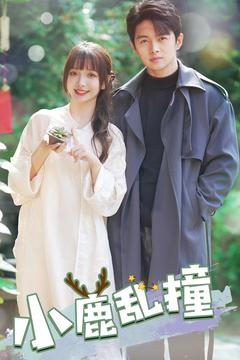 小鹿乱撞(40集)  小鹿乱撞(40集) 精彩短剧天天看