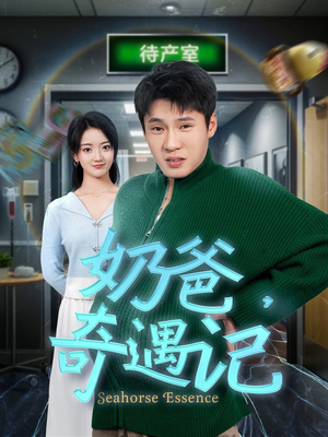 奶爸奇遇记(60集)  奶爸奇遇记(60集) 推荐你们也去看