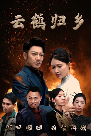 云鹤归乡(65集)  云鹤归乡(65集) 评价怎么样