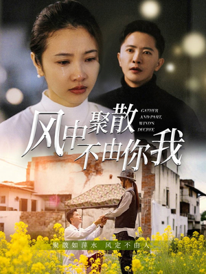 风中聚散不由你我(41集)  风中聚散不由你我(41集) 演员表
