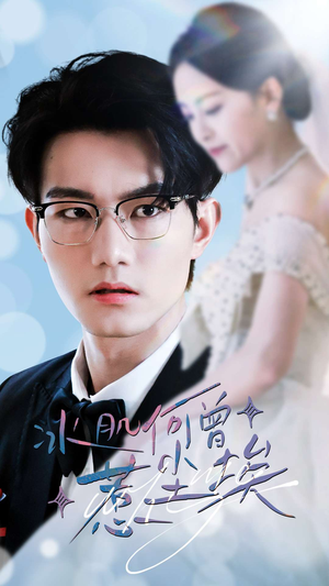 冰肌何曾惹尘埃(60集) 冰肌何曾惹尘埃(60集)全集一网打尽