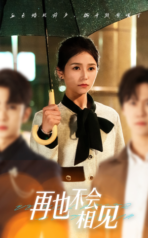再也不会相见（33集）在线观看全集