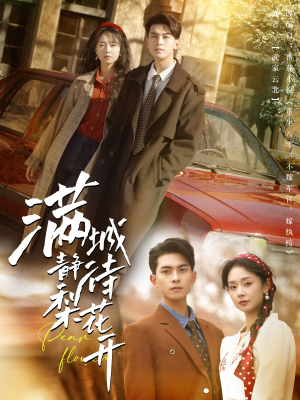 满城静待梨花开(100集) 满城静待梨花开(100集)爆款短剧一起追