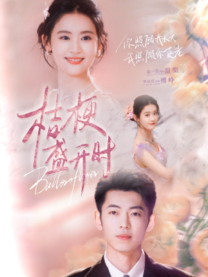 她的小桔梗(92集) 她的小桔梗(92集)热门短剧推广