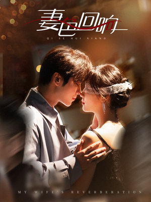 妻色回响(53集)  妻色回响(53集) 评价怎么样