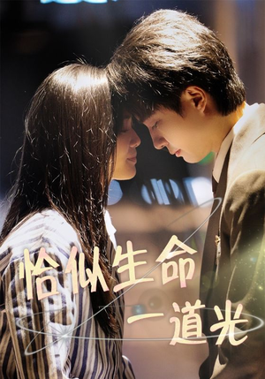 恰似生命一道光(60集)  恰似生命一道光(60集) 免费短剧全集看