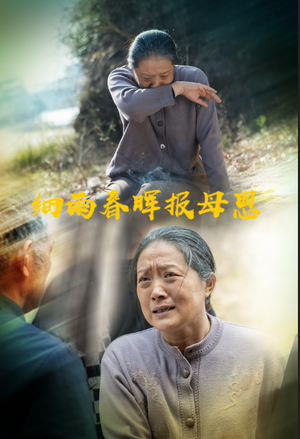 细雨春晖报母恩（30集） 高清无码免费看