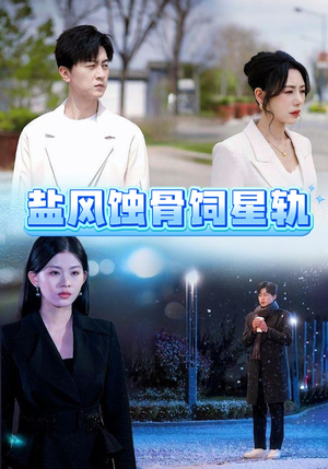 盐风蚀骨饲星轨(60集)  盐风蚀骨饲星轨(60集) 夸克网盘观看