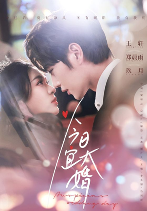 今日宜大婚(59集)  今日宜大婚(59集) 高分佳作免费看