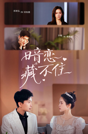 暗恋藏不住(25集) 暗恋藏不住(25集)80到100集