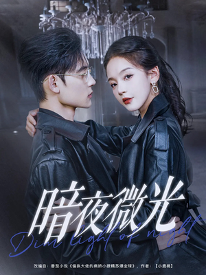 暗夜微光（86集）排行榜前十短剧