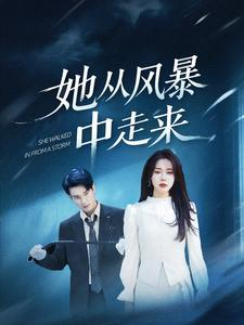 她从风暴中走来(60集) 她从风暴中走来(60集)精彩短剧免费看