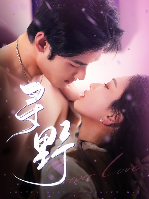 寻野（100集）短剧介绍