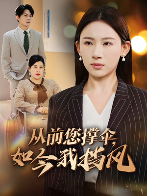 从前您撑伞，如今我挡风（30集）直接追到结尾