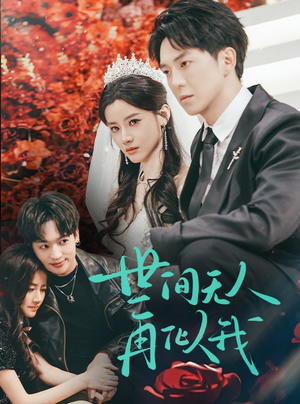 世间无人再似我(32集)  世间无人再似我(32集) 全集下载