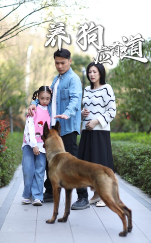 养狗应有道(60集) 养狗应有道(60集)短剧看全集