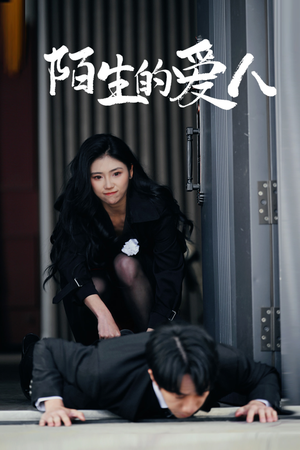 陌生的爱人（60集）精彩短剧天天看