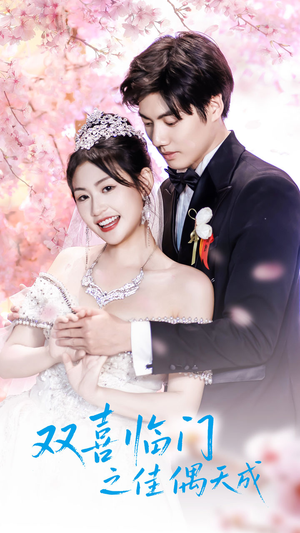 双喜临门之佳偶天成(42集) 双喜临门之佳偶天成(42集)精彩不断免费看